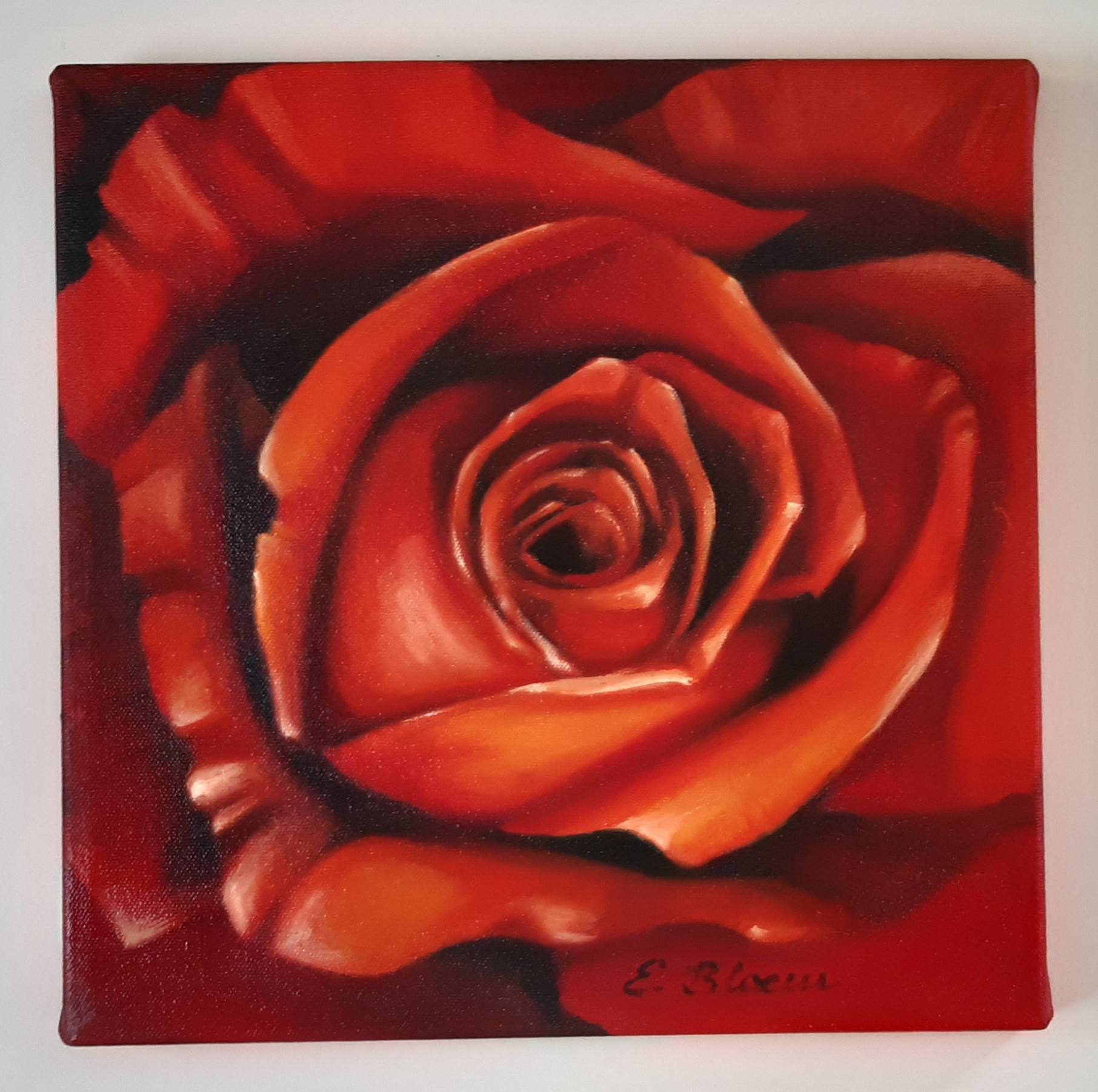 Hauptansicht Rote Rosen