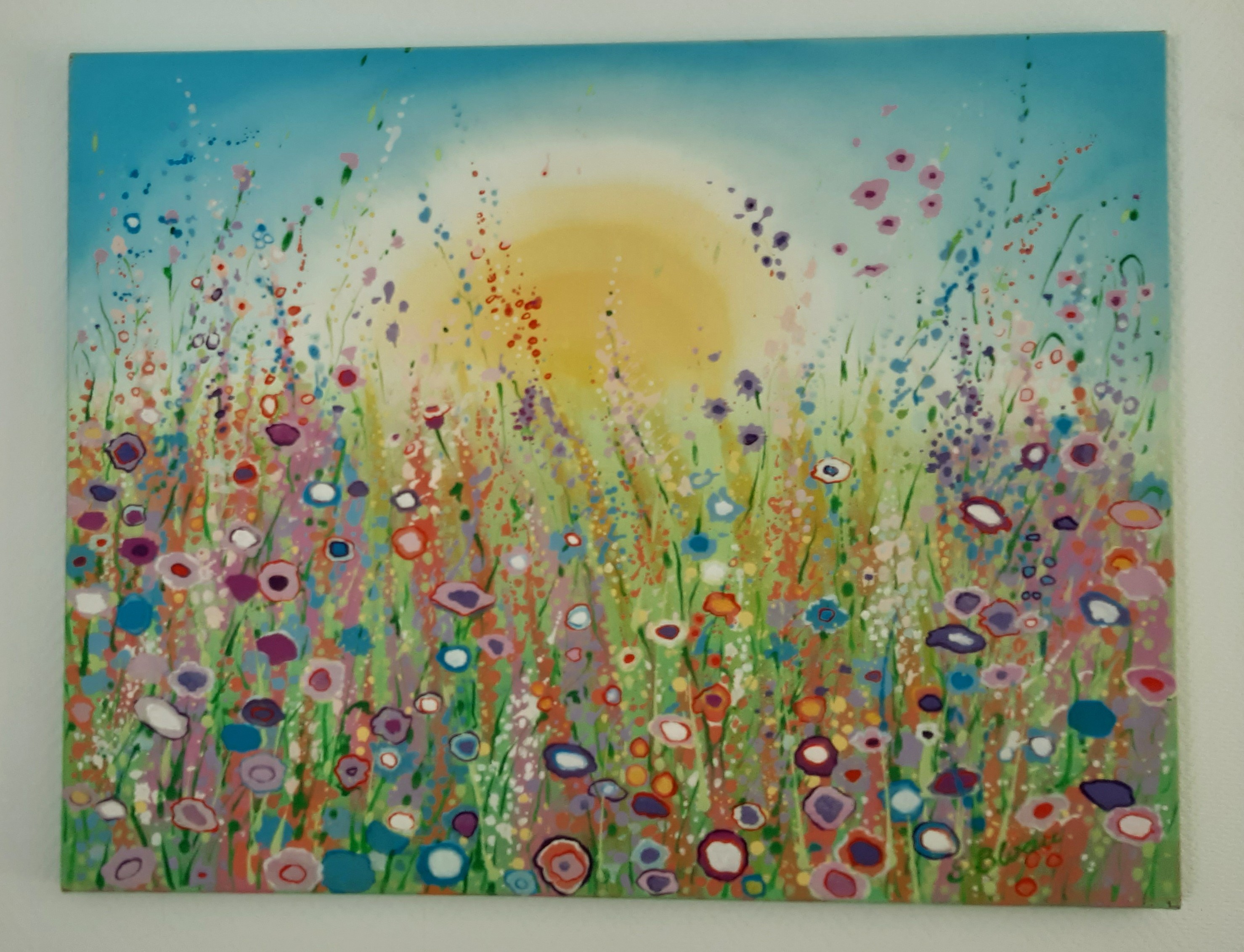Hauptansicht Blumenwiese